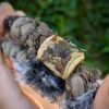 Hairwrap loup oeil de tigre