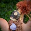 Hairwrap Loup Obsidienne